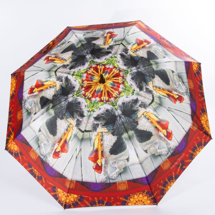 Custom Umbrella Custom Designs Lexie