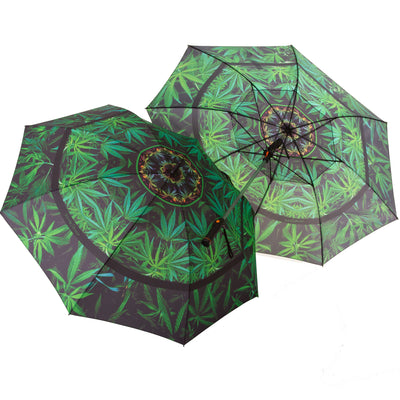 Cilantro Spice Fan Umbrella Wendy Newman Designs