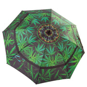 Cilantro Spice Fan Umbrella Wendy Newman Designs outside