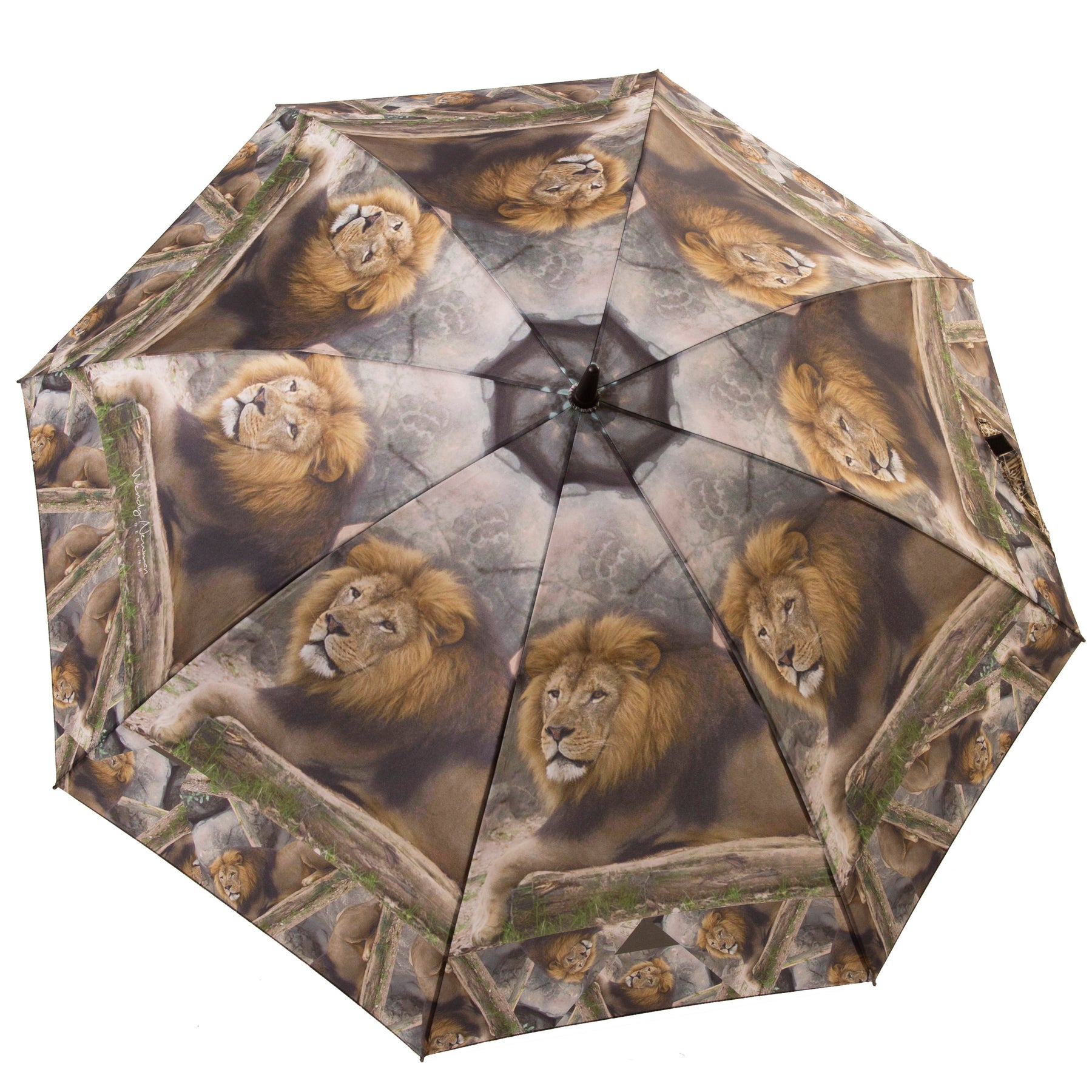 food lion patio umbrella Leo Lion