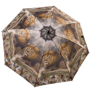 Leo Critter Collection Fan Umbrella outside Wendy Newman Designs