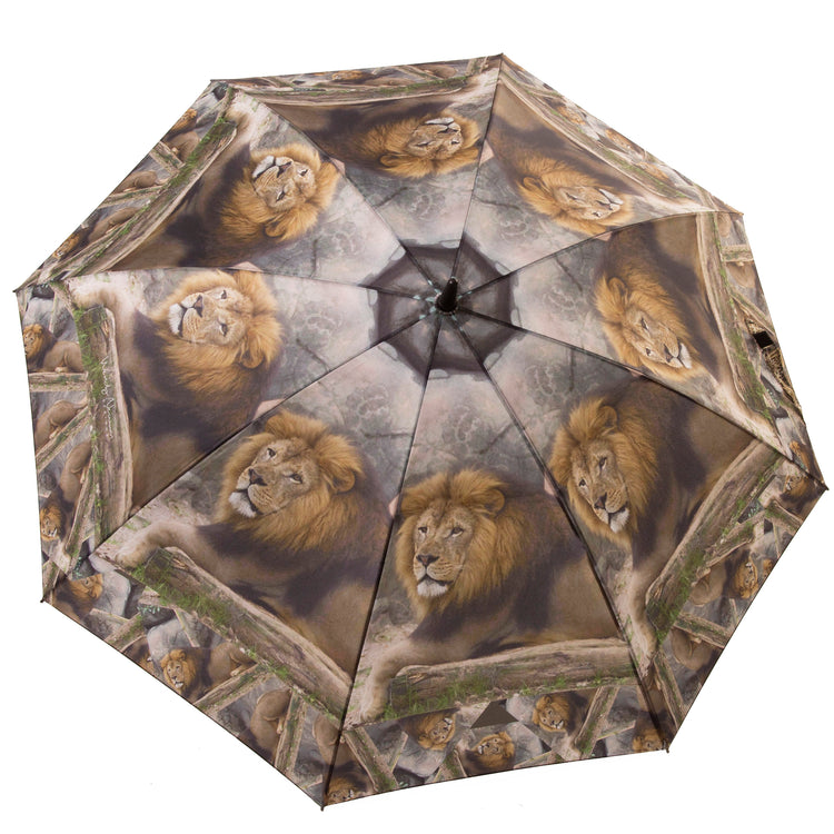 Leo Lion